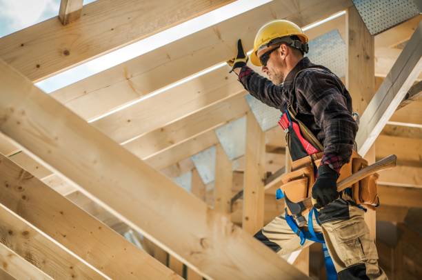 Roof Gutter Cleaning in Holiday Shores, IL