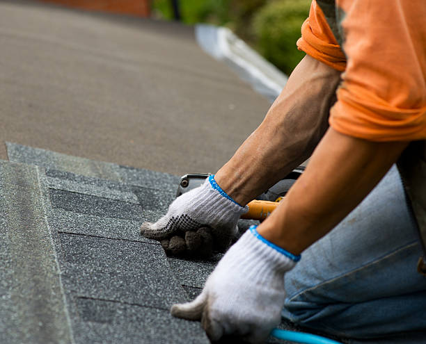 Best Roof Gutter Cleaning  in Holiday Shores, IL