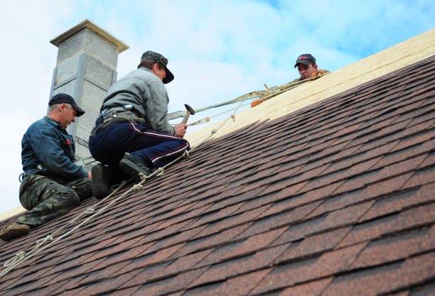 Best Roof Maintenance Services  in Holiday Shores, IL
