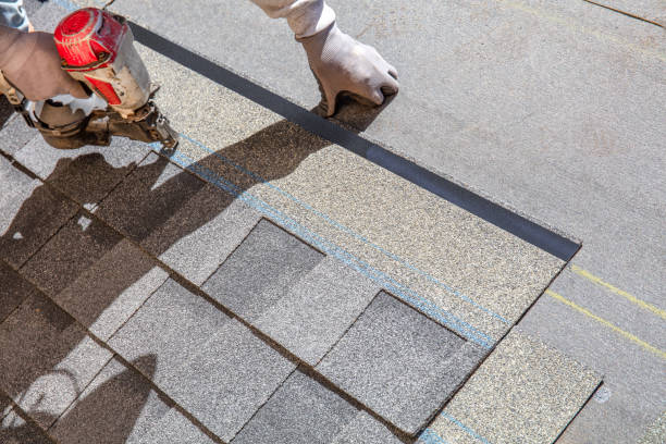 Best Roof Gutter Cleaning  in Holiday Shores, IL